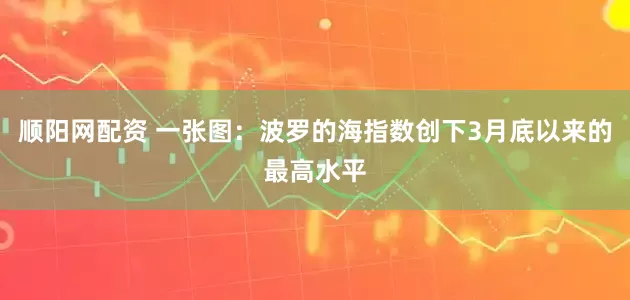 顺阳网配资 一张图：波罗的海指数创下3月底以来的最高水平