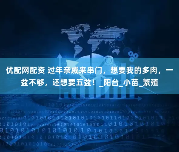 优配网配资 过年亲戚来串门，想要我的多肉，一盆不够，还想要五盆！_阳台_小苗_繁殖